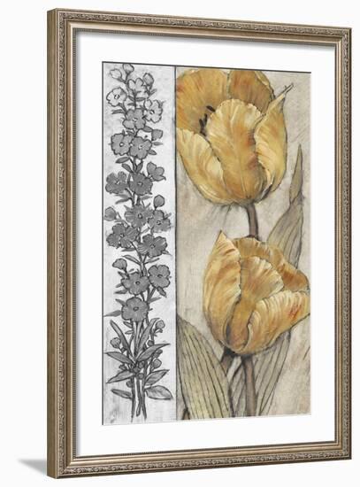 Ochre & Grey Tulips IV-Tim O'toole-Framed Premium Giclee Print