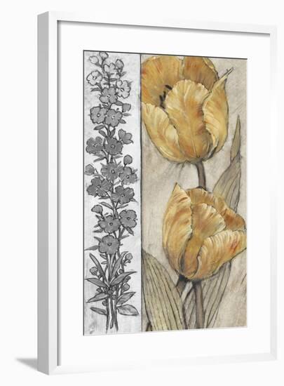 Ochre & Grey Tulips IV-Tim O'toole-Framed Premium Giclee Print