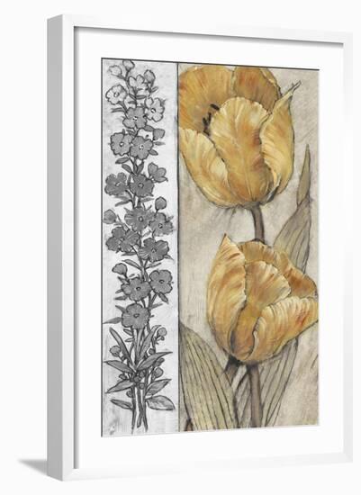 Ochre & Grey Tulips IV-Tim O'toole-Framed Premium Giclee Print