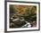 Oconaluftee River, Great Smoky Mountains National Park, North Carolina, USA-Adam Jones-Framed Photographic Print