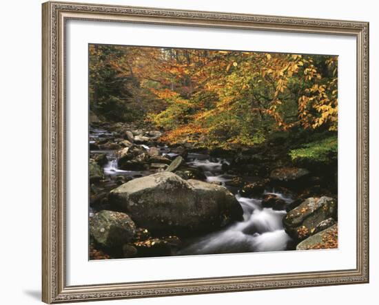 Oconaluftee River, Great Smoky Mountains National Park, North Carolina, USA-Adam Jones-Framed Photographic Print