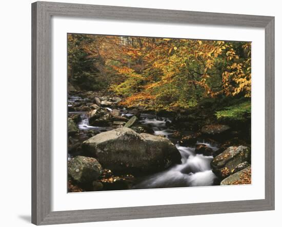 Oconaluftee River, Great Smoky Mountains National Park, North Carolina, USA-Adam Jones-Framed Photographic Print