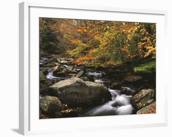 Oconaluftee River, Great Smoky Mountains National Park, North Carolina, USA-Adam Jones-Framed Photographic Print