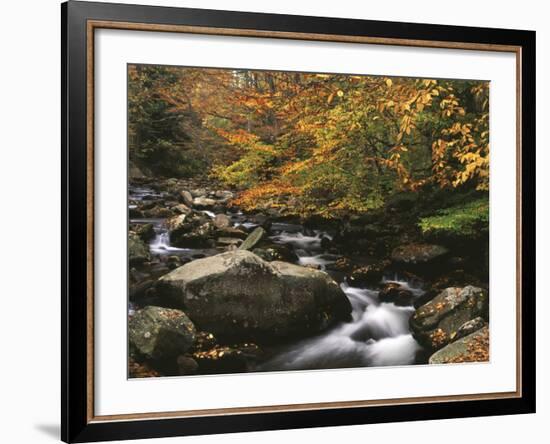 Oconaluftee River, Great Smoky Mountains National Park, North Carolina, USA-Adam Jones-Framed Photographic Print