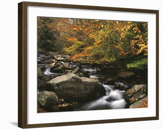 Oconaluftee River, Great Smoky Mountains National Park, North Carolina, USA-Adam Jones-Framed Photographic Print