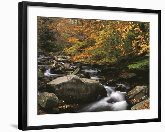 Oconaluftee River, Great Smoky Mountains National Park, North Carolina, USA-Adam Jones-Framed Photographic Print