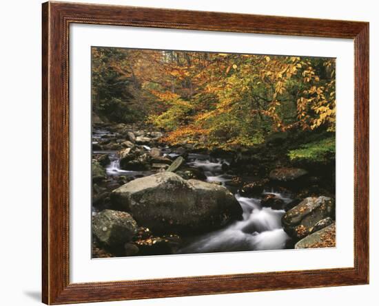 Oconaluftee River, Great Smoky Mountains National Park, North Carolina, USA-Adam Jones-Framed Photographic Print