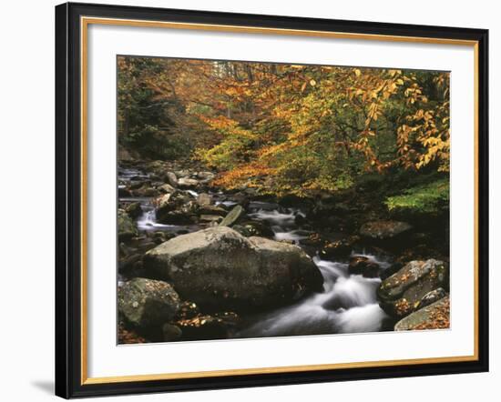 Oconaluftee River, Great Smoky Mountains National Park, North Carolina, USA-Adam Jones-Framed Photographic Print