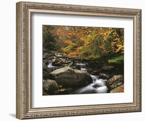 Oconaluftee River, Great Smoky Mountains National Park, North Carolina, USA-Adam Jones-Framed Photographic Print