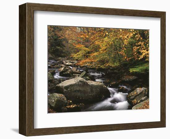 Oconaluftee River, Great Smoky Mountains National Park, North Carolina, USA-Adam Jones-Framed Photographic Print