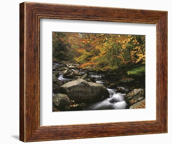 Oconaluftee River, Great Smoky Mountains National Park, North Carolina, USA-Adam Jones-Framed Photographic Print