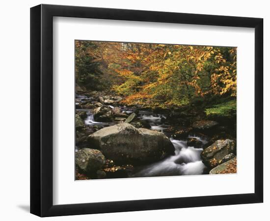 Oconaluftee River, Great Smoky Mountains National Park, North Carolina, USA-Adam Jones-Framed Photographic Print