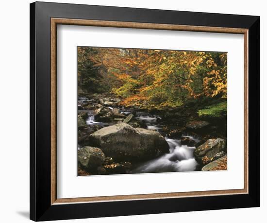 Oconaluftee River, Great Smoky Mountains National Park, North Carolina, USA-Adam Jones-Framed Photographic Print