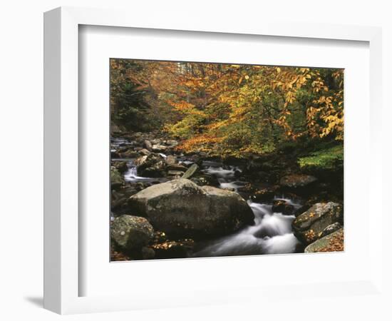 Oconaluftee River, Great Smoky Mountains National Park, North Carolina, USA-Adam Jones-Framed Photographic Print