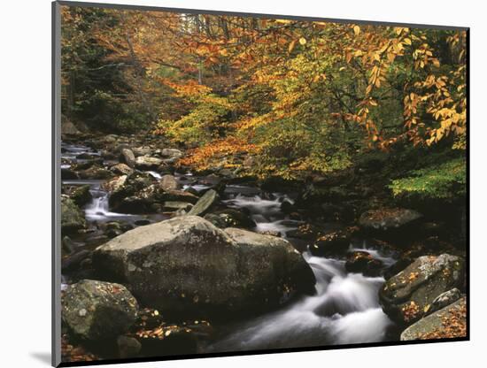 Oconaluftee River, Great Smoky Mountains National Park, North Carolina, USA-Adam Jones-Mounted Photographic Print