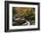 Oconaluftee River, Great Smoky Mountains National Park, North Carolina, USA-Adam Jones-Framed Photographic Print