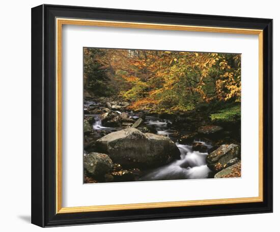 Oconaluftee River, Great Smoky Mountains National Park, North Carolina, USA-Adam Jones-Framed Photographic Print