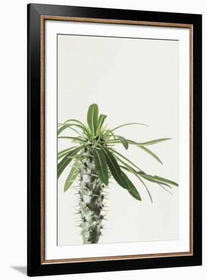 Ocota Focus-Irene Suchocki-Framed Giclee Print