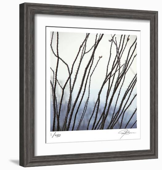 Ocotillo 6-Ken Bremer-Framed Limited Edition