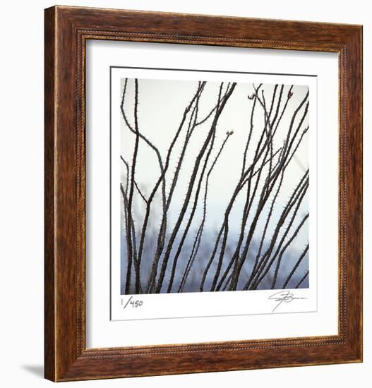 Ocotillo 6-Ken Bremer-Framed Limited Edition