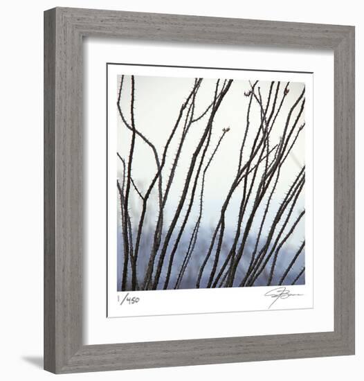 Ocotillo 6-Ken Bremer-Framed Limited Edition