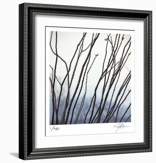 Ocotillo 6-Ken Bremer-Framed Limited Edition