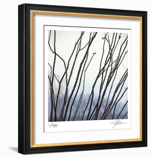 Ocotillo 6-Ken Bremer-Framed Limited Edition