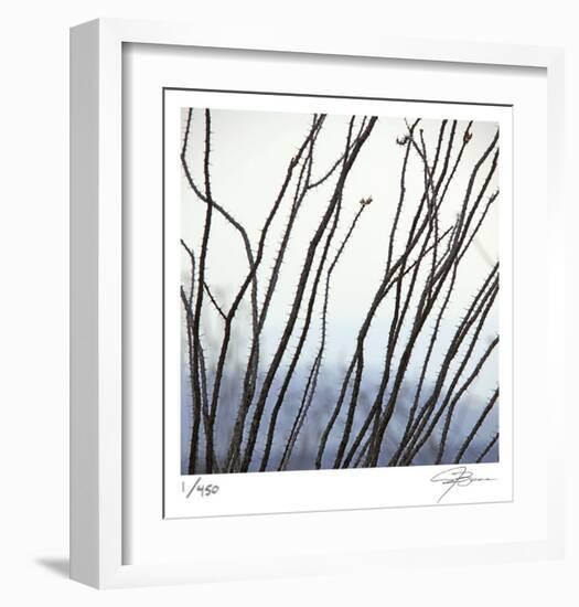 Ocotillo 6-Ken Bremer-Framed Limited Edition