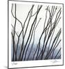 Ocotillo 6-Ken Bremer-Mounted Limited Edition