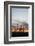 Ocotillo and Mountains at Sunset, Saguaro National Park, Arizona, USA-Jamie & Judy Wild-Framed Photographic Print