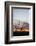 Ocotillo and Mountains at Sunset, Saguaro National Park, Arizona, USA-Jamie & Judy Wild-Framed Photographic Print