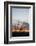 Ocotillo and Mountains at Sunset, Saguaro National Park, Arizona, USA-Jamie & Judy Wild-Framed Photographic Print