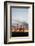 Ocotillo and Mountains at Sunset, Saguaro National Park, Arizona, USA-Jamie & Judy Wild-Framed Photographic Print