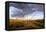 Ocotillo in Bloom at Sunrise in Big Bend National Park, Texas, Usa-Chuck Haney-Framed Premier Image Canvas