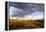 Ocotillo in Bloom at Sunrise in Big Bend National Park, Texas, Usa-Chuck Haney-Framed Premier Image Canvas