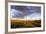 Ocotillo in Bloom at Sunrise in Big Bend National Park, Texas, Usa-Chuck Haney-Framed Photographic Print