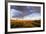 Ocotillo in Bloom at Sunrise in Big Bend National Park, Texas, Usa-Chuck Haney-Framed Photographic Print