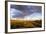 Ocotillo in Bloom at Sunrise in Big Bend National Park, Texas, Usa-Chuck Haney-Framed Photographic Print