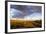 Ocotillo in Bloom at Sunrise in Big Bend National Park, Texas, Usa-Chuck Haney-Framed Photographic Print