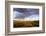 Ocotillo in Bloom at Sunrise in Big Bend National Park, Texas, Usa-Chuck Haney-Framed Photographic Print