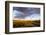 Ocotillo in Bloom at Sunrise in Big Bend National Park, Texas, Usa-Chuck Haney-Framed Photographic Print