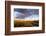 Ocotillo in Bloom at Sunrise in Big Bend National Park, Texas, Usa-Chuck Haney-Framed Photographic Print