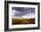 Ocotillo in Bloom at Sunrise in Big Bend National Park, Texas, Usa-Chuck Haney-Framed Photographic Print