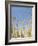 Ocotillo in Flower. Organ Pipe Cactus National Monument, Arizona, USA-Philippe Clement-Framed Photographic Print