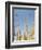 Ocotillo in Flower. Organ Pipe Cactus National Monument, Arizona, USA-Philippe Clement-Framed Photographic Print