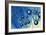 Octahedral Molecular Models, Artwork-Richard Bizley-Framed Photographic Print