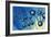 Octahedral Molecular Models, Artwork-Richard Bizley-Framed Photographic Print