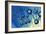 Octahedral Molecular Models, Artwork-Richard Bizley-Framed Photographic Print