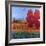 October Air-Don Tiller-Framed Giclee Print