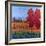 October Air-Don Tiller-Framed Giclee Print